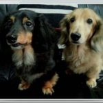 帰国しました～(^^)/