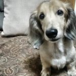 プラスとマイナスで(笑)